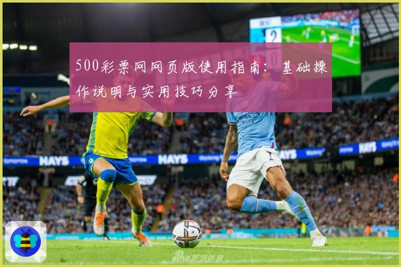 500彩票网网页版使用指南：基础操作说明与实用技巧分享
