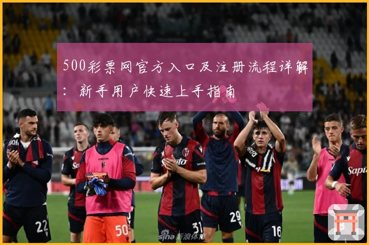 500彩票网官方入口及注册流程详解：新手用户快速上手指南